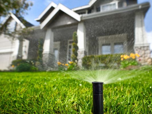 Action Sprinkler Repair