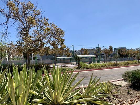 Hazard Center Trolley Station