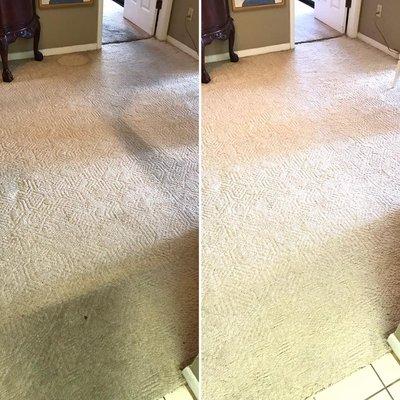 Sometimes those area rugs on your carpet cause more damage than good. They may catch a lot of the dirt, but the exposed areas of carpet stil