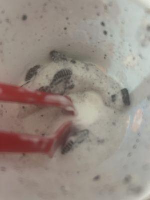 Dairy Queen (Treat)