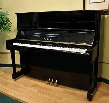 Top Selling Yamaha U3!