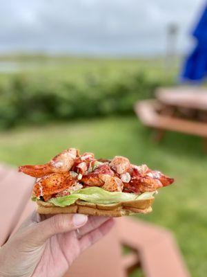 Lobster Rolls