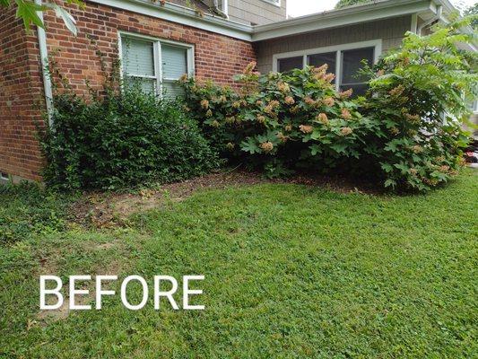 Flower bed prepped- cleaned, bushes removed.