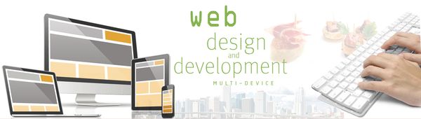 Web Design and Development