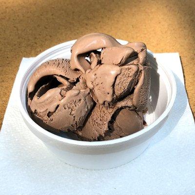 Cup of Chocolate Ice Cream (extra scoop because they didn't have my first pick)