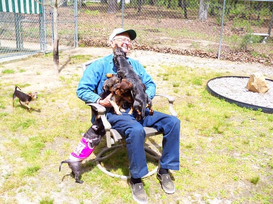 Boardwalk To Bark Place Kennels