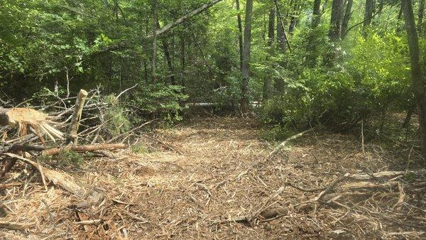 Forestry mulching