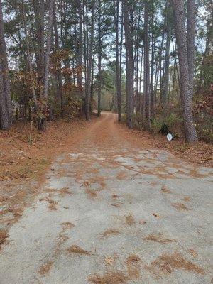 Before fall driveway cleaning