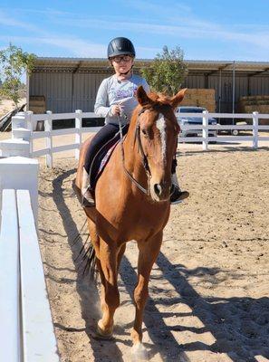 Skye's the Limit Equestrian Center