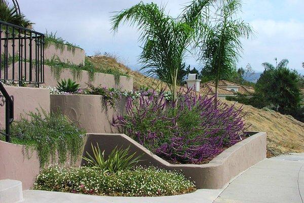 Stucco retaining walls and plantings.