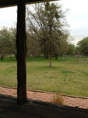 View off the back porch.