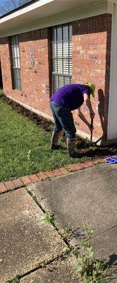 Anthony, treating for termites