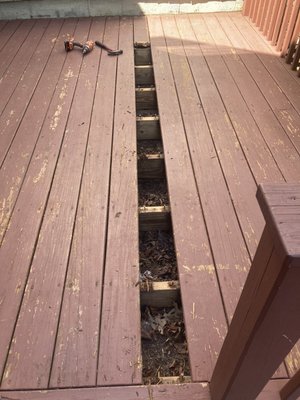 Deck board replacement and painting