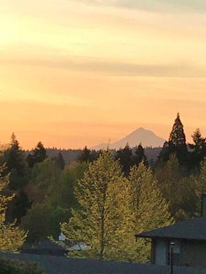 Gorgeous View of Mt Hood from Hallwood