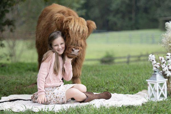 Book your Baby Highland Calf Session today! 
Monroe, GA 
www.facebook.com/DKPhotographyGA