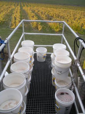 Hand mixed yeast for our hand-crafted wines