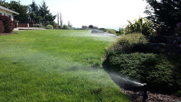 Steve's Sprinkler Repair