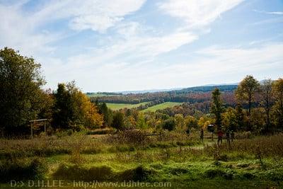 Great Vermont Corn Maze