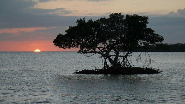 Sunset 10,000 Islands