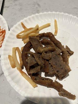 Dried out gyro and fries.