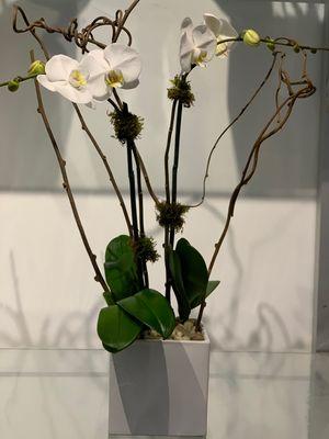 Double White Orchid in Ceramic