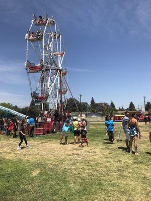 Large grassy back area during their Annual Country Fair