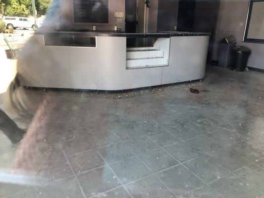 The concession Stand filled with bird poop along with a dead bird in front.