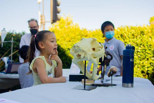 Looking at animal teeth at an open house event