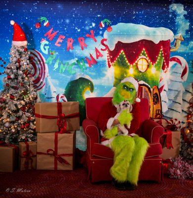 Pet photos with The Grinch! Hosted by TREP