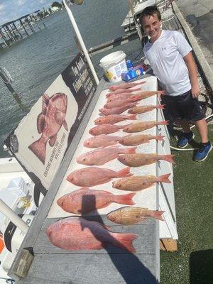 Limit of red snapper