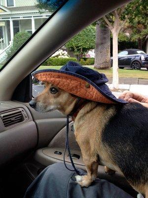 Meet Rusty as we head to the creek to go fishing