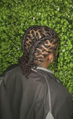 Starter Locs