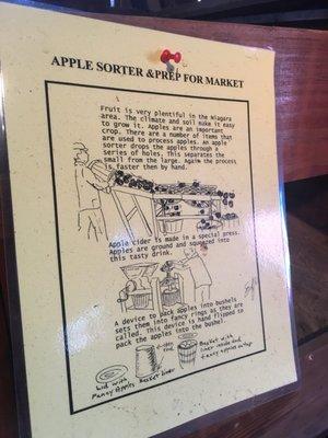 Apple sorter and description