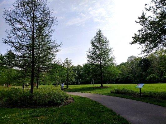 The soccer fields/green space