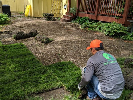 Sod installation.