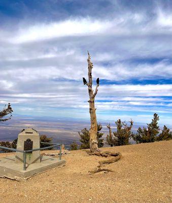 Mount Baden-Powell Trail