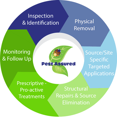 Pest Assured Eco-Friendly pest management practices.