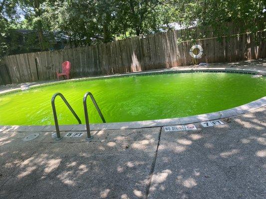 Our pool looks like toxic waste.