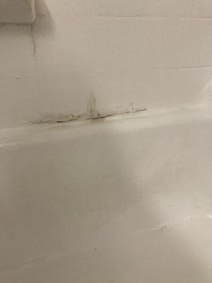 Bathroom started peeling by the second month of residency and they just come and put paste over it.