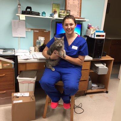 Vet Assistant Taylor holding the resident cat, Wilbur