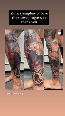 Dragon ball sleeve