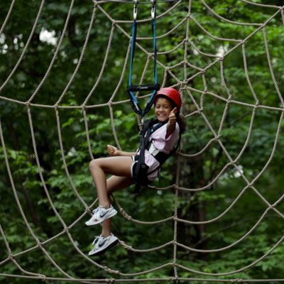 Aerial Treetop (High Ropes) Adventure