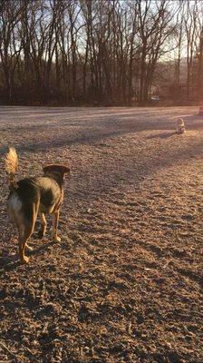 Beacon Dog Park