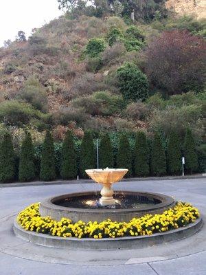 New flowers at the fountain