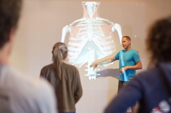 Teaching functional anatomy to a yoga teacher training.