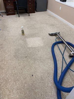 This was after A Able did a test area. Other companies said they could not clean my rug in our office! Unreal this company is top notch.