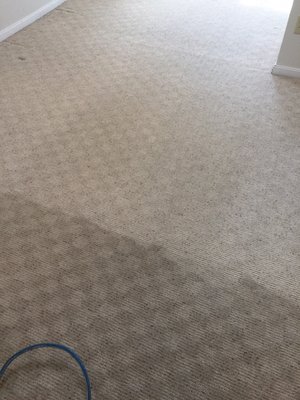 Hurricane carpet cleaning