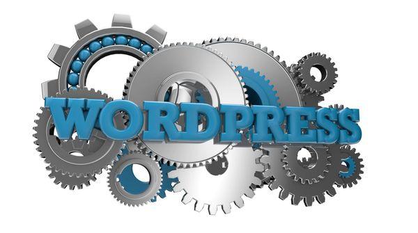 Wordpress Specialist