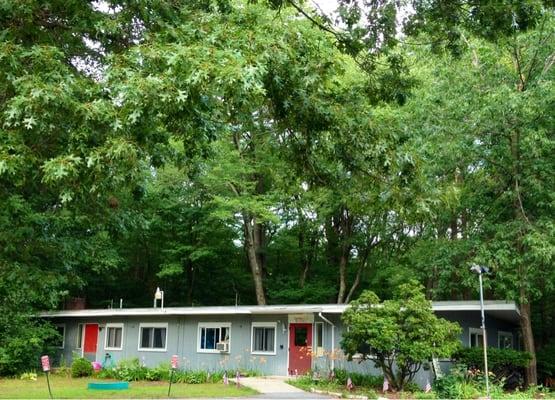 Look at all of those shady trees! Kids just love the trees that grow right out of the back play yard, too!  Nature abounds!!