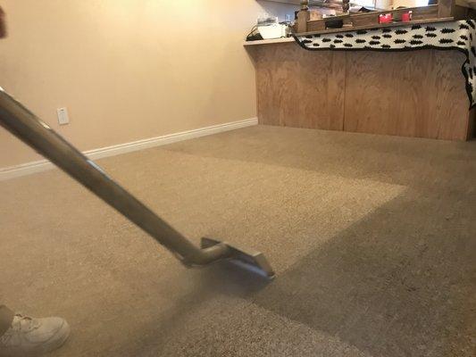 Five Step Carpet Care